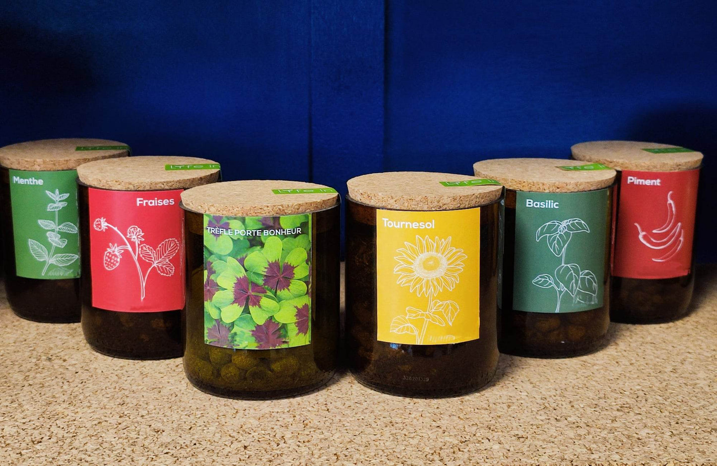 concept store concept store portugais saudade concept store cherbourg herbe aromatique plantes printemps artisanat portugais artisanal artisanat épicerie fine épicerie portugaise upcycling bouteille trèfle tournesol fraises piment basilic menthe jardin