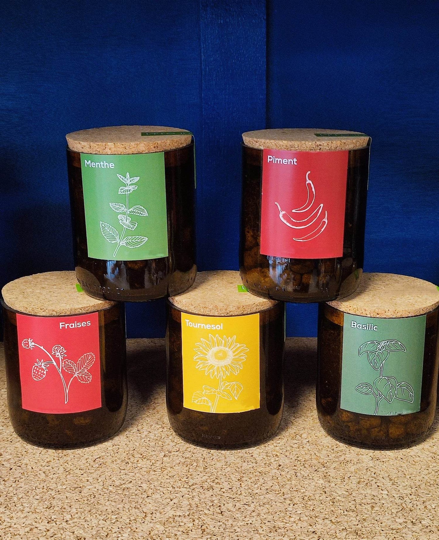 concept store concept store portugais saudade concept store cherbourg herbe aromatique plantes printemps artisanat portugais artisanal artisanat épicerie fine épicerie portugaise upcycling bouteille trèfle tournesol fraises piment basilic menthe jardin