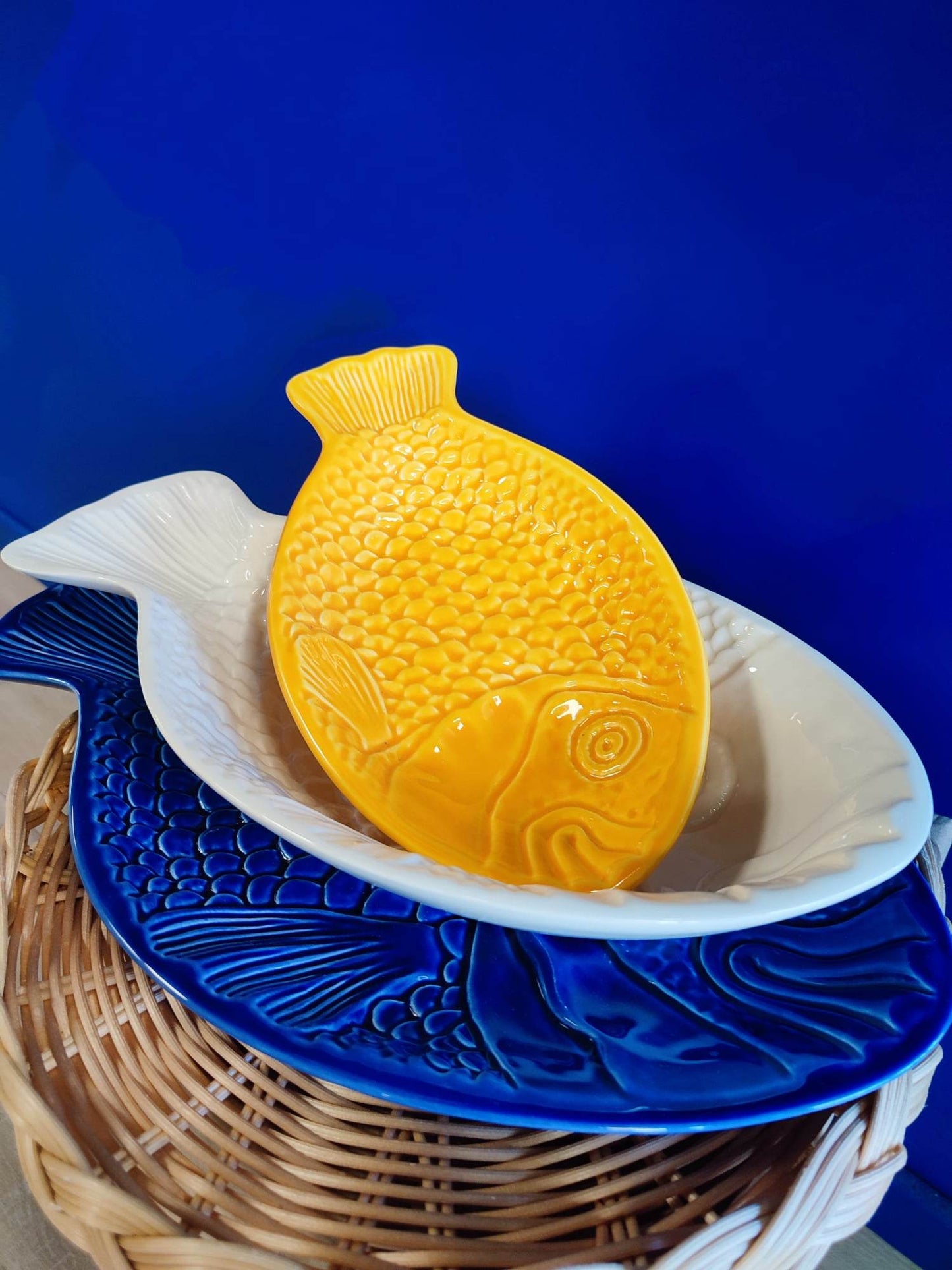 Plat poisson grand format plat