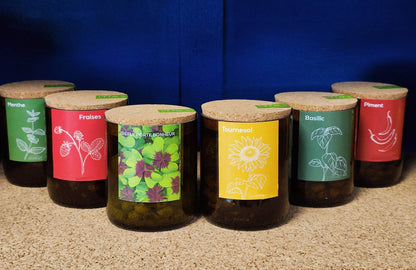concept store  concept store portugais  saudade concept store  cherbourg  herbe aromatique  plantes  printemps  artisanat portugais  artisanal  artisanat  épicerie fine  épicerie portugaise  upcycling  bouteille  trèfle  tournesol  fraises  piment  basilic  menthe  jardin