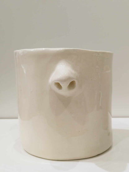 Cache pot nez